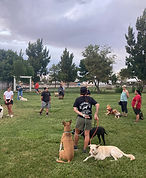 IMG_9216.JPG