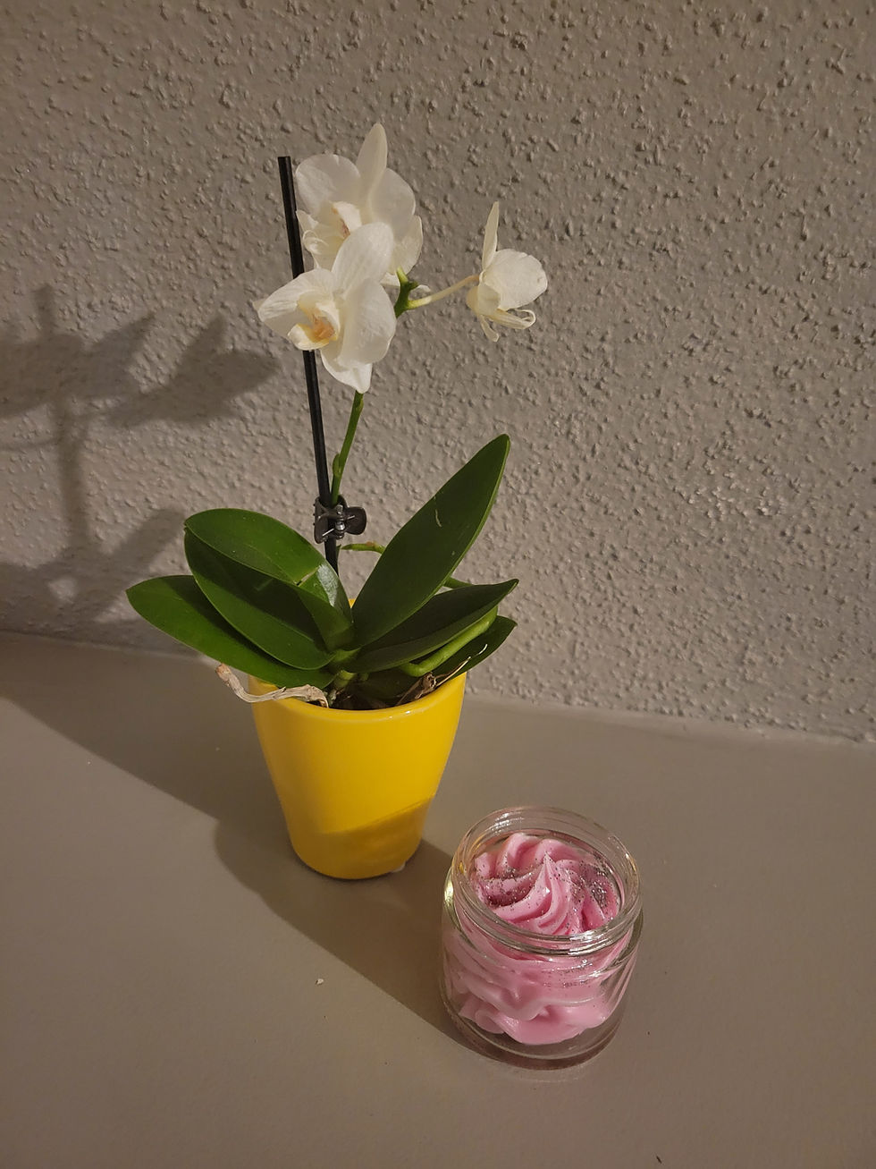 Miniature : Chantilly Fondante