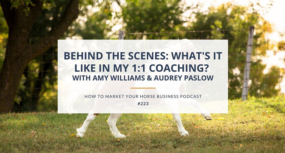 running foal podcast image equine business coaching