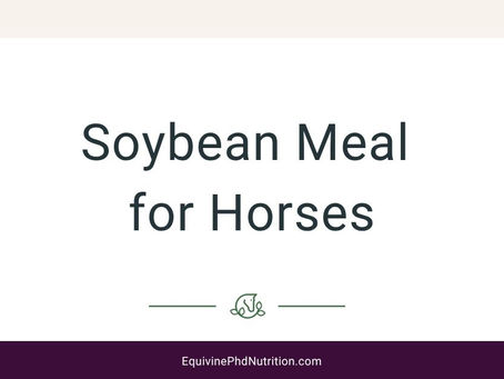 Soybean Meal for Horses