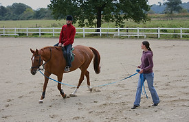 Horse trainer lunging horse while person rides the horse