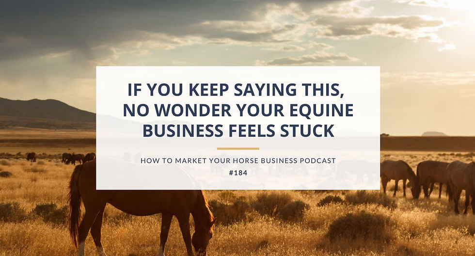 horses in pasture at sunrise for equine business feels stuck podcast image
