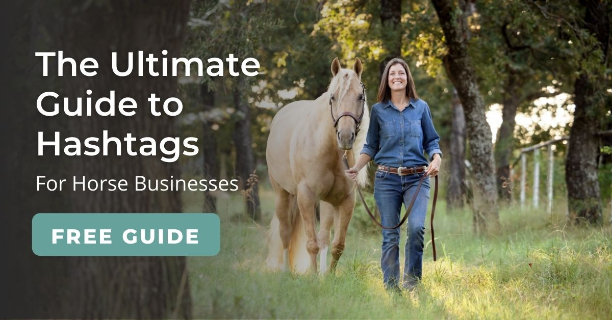 Hashtag Guide for Horse Businesses Stormlily Marketing