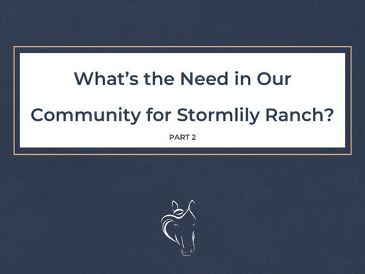 What’s the Need in our Community for Stormlily Ranch? [Part 2]