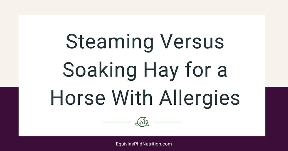 steam versus soak hay for horse blog image