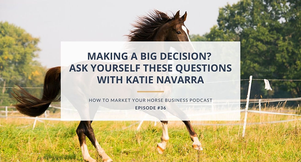stormlily marketing how to market your horse business podcast episode image