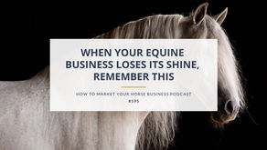 grey horse on black background market horse business podcast image