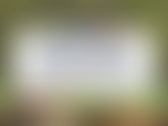 horse jumping over hay digital advertising podcast episode
