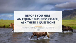 icelandic horses running in water equine business coach podcast episode