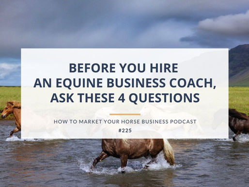 icelandic horses running in water equine business coach podcast episode