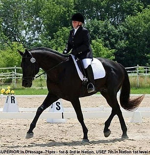 MarieHoffman-TotalHorseMethod-superior dressage.jpg