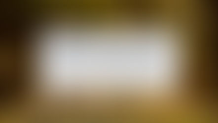 3 horses in florida podcast image