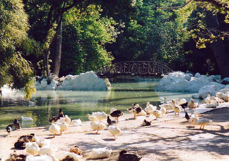 athens_national_garden_greece_original.jpeg