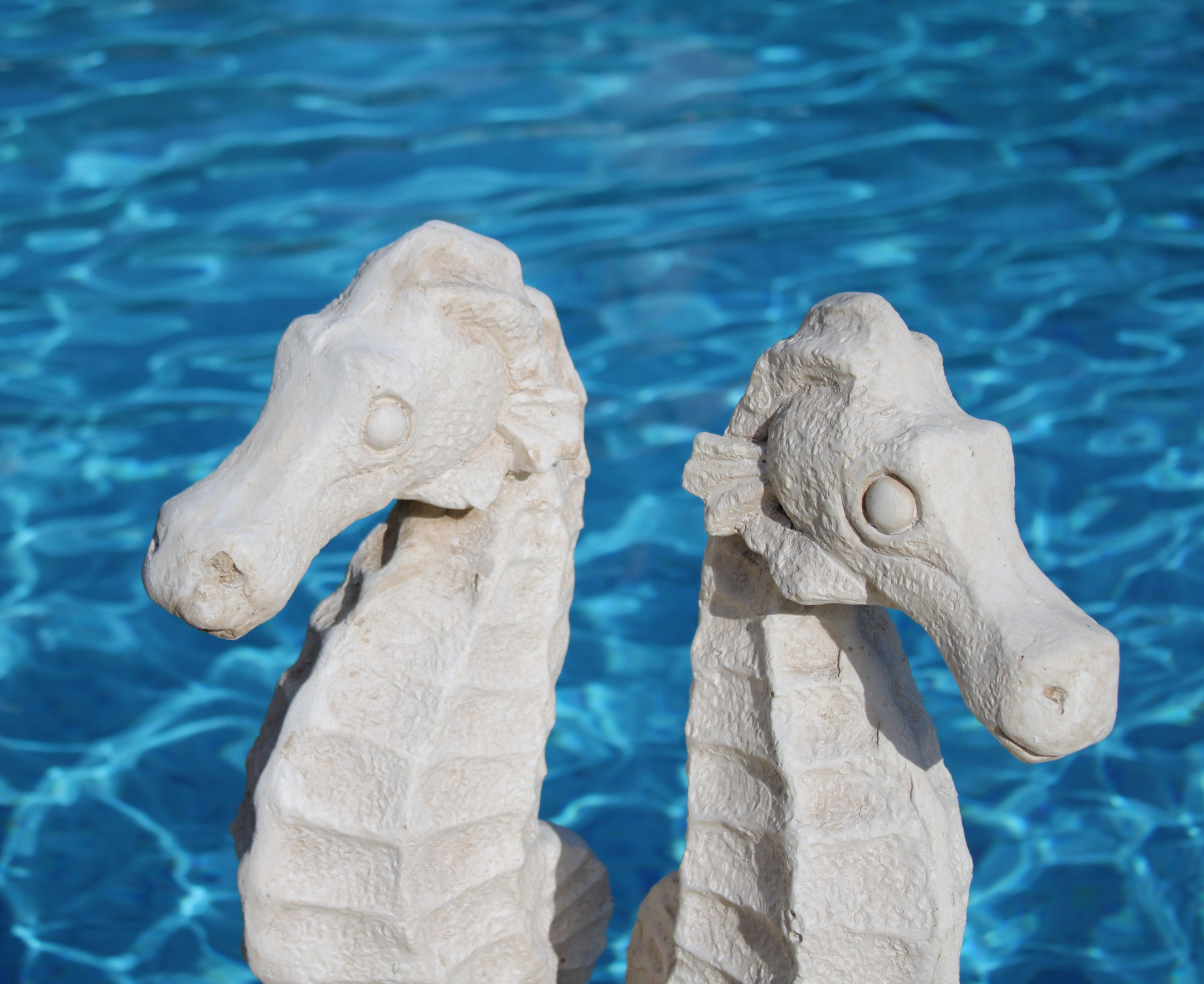 Seahorse Statue