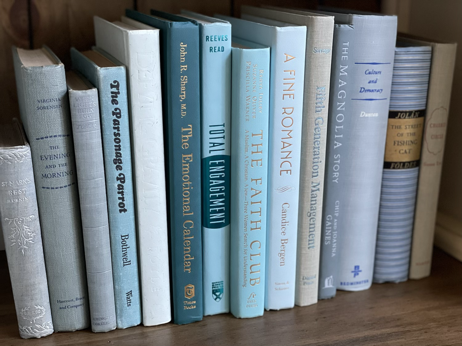 Light Blue Books-Set of 5
