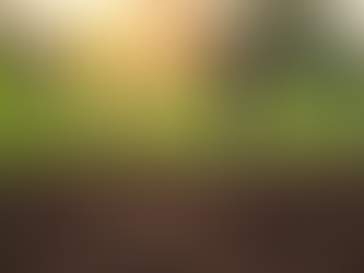 Enhance Agriculture with Accurate Soil pH Sensors and Soil pH Measurement Tools