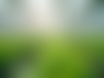 Transforming Small Farms with Smart Farm Innovations and IoT Technologies