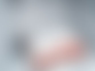 The Essential Role of Temperature Monitoring in Safeguarding Frozen Meat Quality