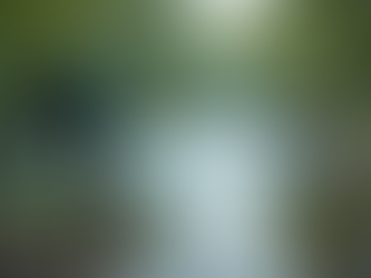 Enhancing River and Lake Ecosystems through Innovative Monitoring Solutions