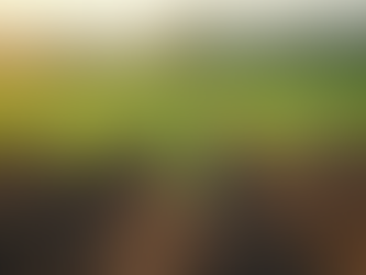 Transforming Agriculture with ProSight: Real-Time Monitoring for Enhanced Productivity