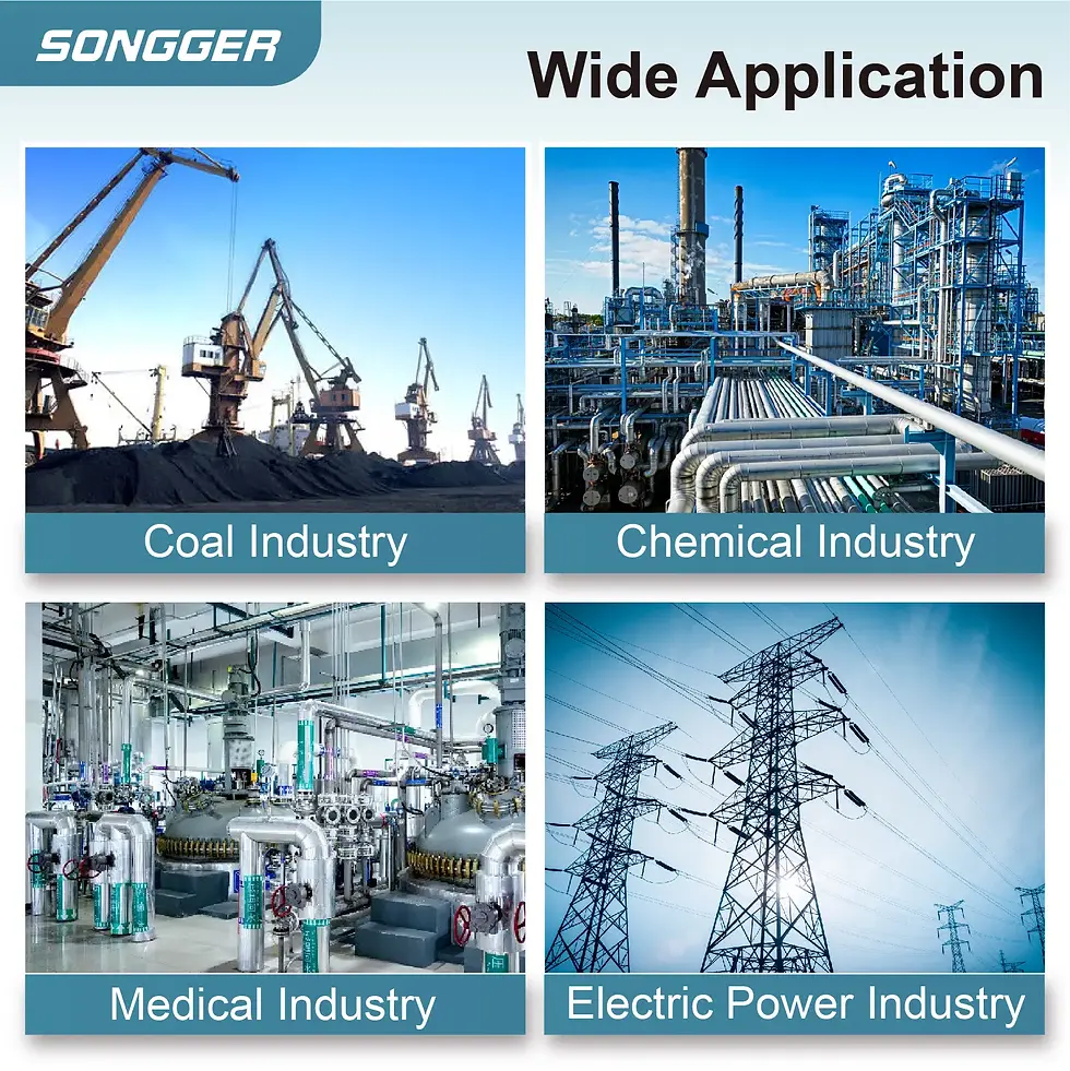 Thumbnail: Explosion Proof Pressure Transmitter with 4–20mA, Voltage and RS485 Output