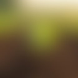 Enhance Agriculture with Accurate Soil pH Measurement Tools