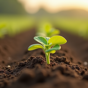 Enhance Agriculture with Accurate Soil pH Measurement Tools