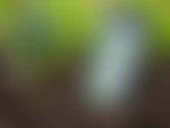 Maximise Your Garden's Potential with the 8-in-1 Bluetooth Soil Meter