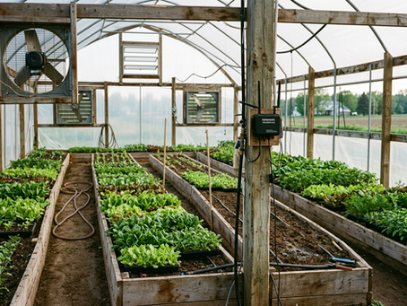 How Smart Farm Innovations and Monnit Are Modernizing Small Farm Operations