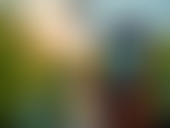 Optimise Your Plant Growth with the PAR DLI Meter for Perfect Light Exposure