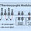 Thumbnail: Multi-Channel Temperature Acquisition Module – PT100 & Thermocouple, RS485