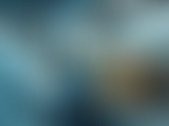 Navigating the Complex Terrain of Defibrotide Logistics Beyond Standard Operating Procedures