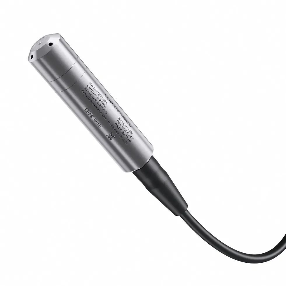 Thumbnail: Submersible Water Level Sensor – Hydrostatic Level Transmitter (4–20mA / RS485)