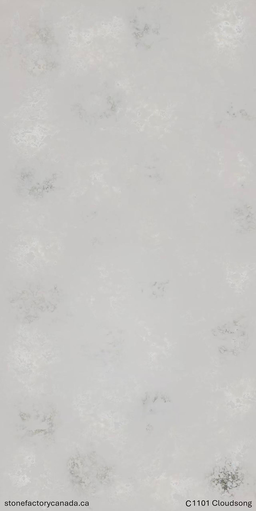 C1101