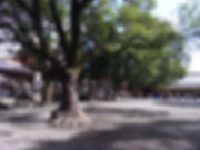 57.JPG