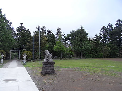 10.JPG