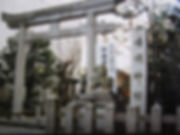 16.JPG
