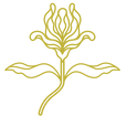 final imagery-16.png
