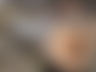 Ice Storm Ash tree Barrie