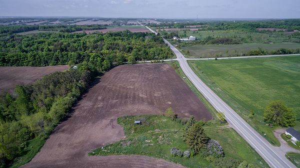 tree service serving oro medonte for over 30 years