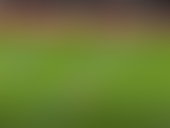 3 Global Sports AI Models: SportsLLM vs SportsVisionAI vs DocumentAI