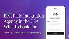 Best Plaid Integration Agency in the USA: What to Look For 