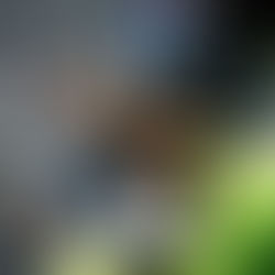 League Management Software for Youth Sports in the US