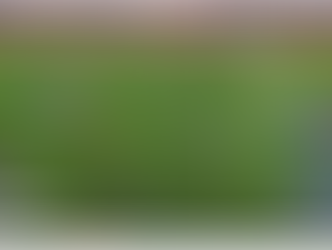 Top Football Analytics Software Companies for Clubs and Coaches in 2026