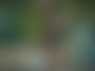 How AI is Revolutionizing Sports Management: Moving Beyond Spreadsheets