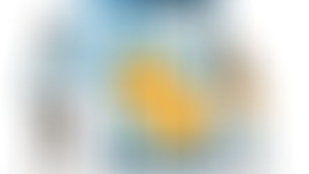 ach payments integration development