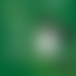 Daily Fantasy Sports vs Season-Long Fantasy: What’s the Difference?