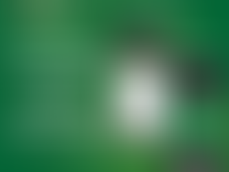 Daily Fantasy Sports vs Season-Long Fantasy: What’s the Difference?