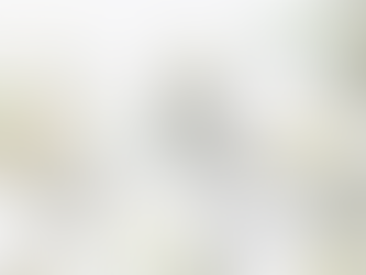 Which Milk Is Right For You?