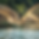 Untitled design (6).png